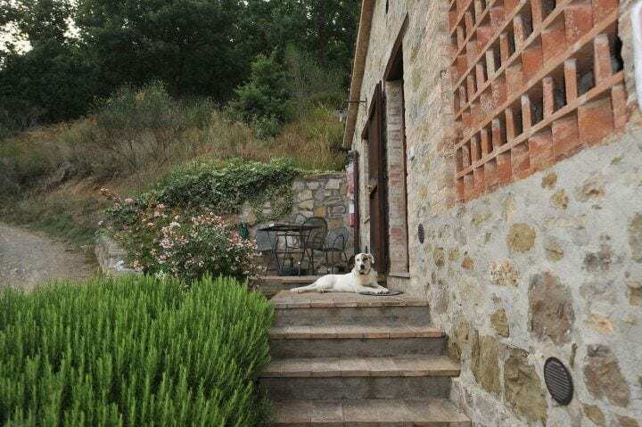 Agriturismo Monte Petreto Magione Esterno foto